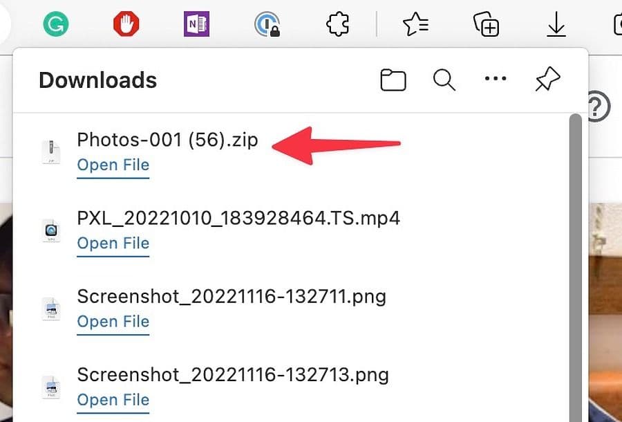Download Google Photos from web