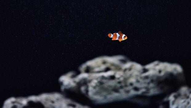 Εξόρυξη σε βαθιές θάλασσες: Λύση ή αυτοκαταστροφή;