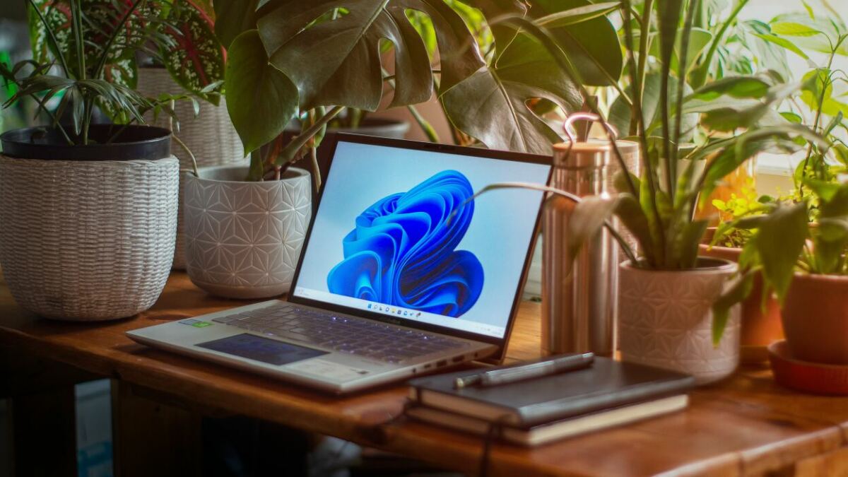 Καλύτερη προσφορά πακέτου Windows 11 Pro και Microsoft Office: έκπτωση 88%.
