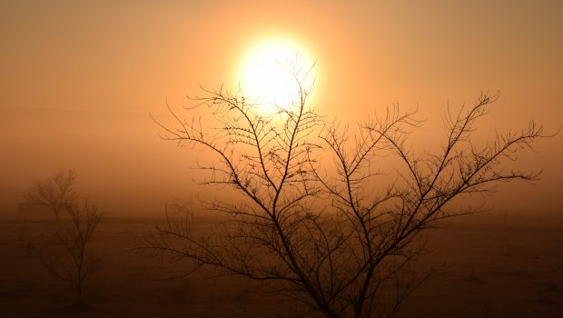 Κλιματική αλλαγή: Η Τρίτη ξεπέρασε τη Δευτέρα ως η θερμότερη μέρα όλων των εποχών