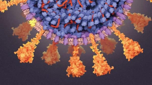 Κοροναϊός: Νέα εξήγηση για τους λίγους τυχερούς που δεν αρρώστησαν ποτέ