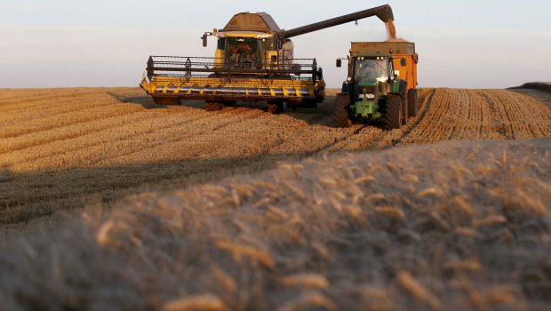 Μεταλλαγμένα τρόφιμα: Η Κομισιόν προτείνει χαλάρωση κανόνων για τις γενετικά τροποποιημένες καλλιέργειες