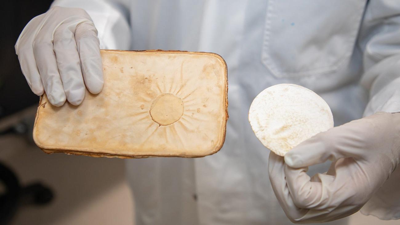 Study author shows off the compressed mycelium sheets she created for the project