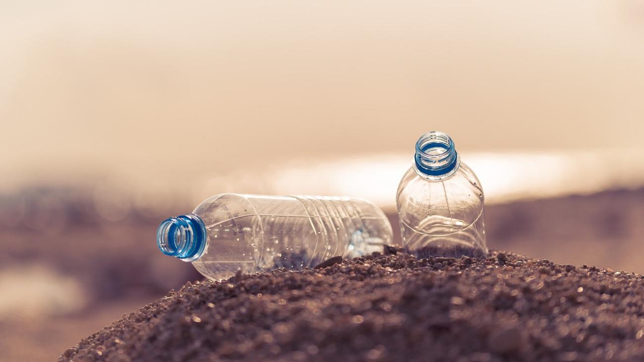 Plastics typically contain chemical additives like metals and dyes, which can leach out and affect organisms nearby.