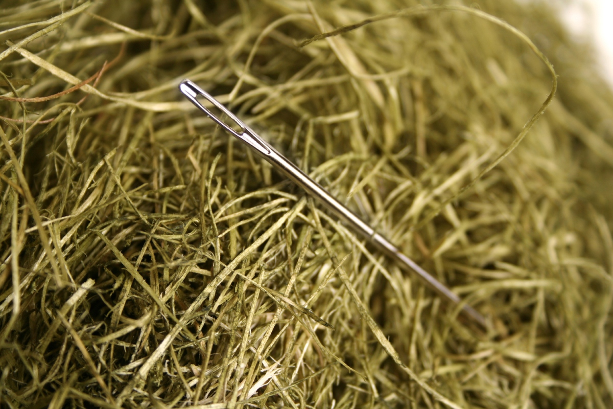 Τι αναζητούν οι επενδυτές της δημόσιας αγοράς στις IPO;
