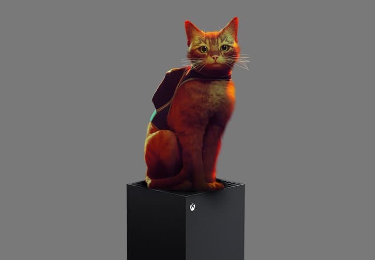 Stray is now on Xbox