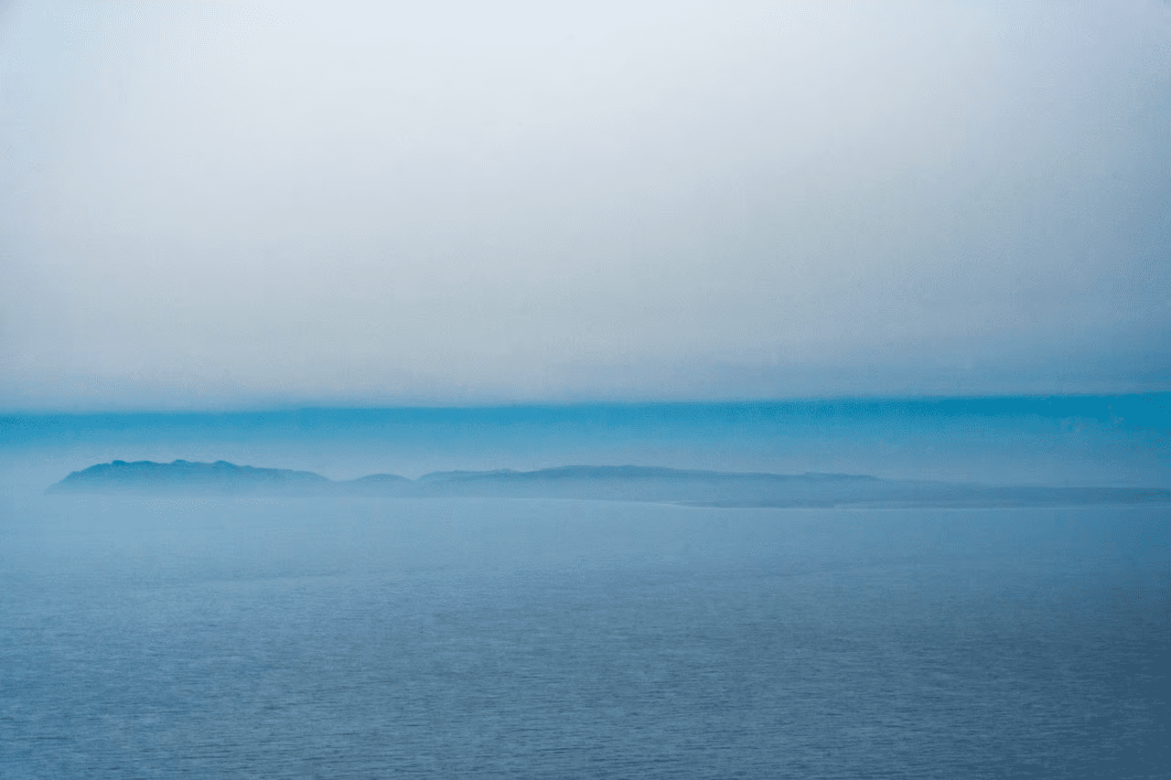 , Feral cows took over a remote Alaskan island, TechWar.gr