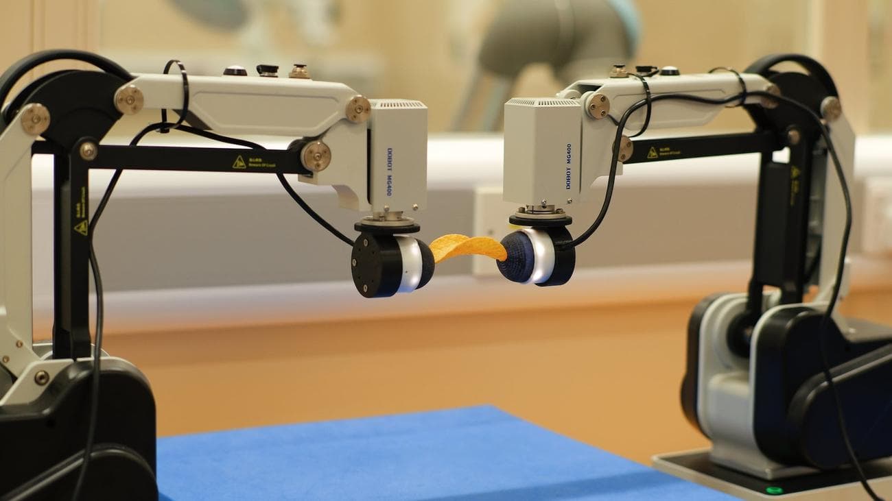 Robot arms lifting a single Pringles chip