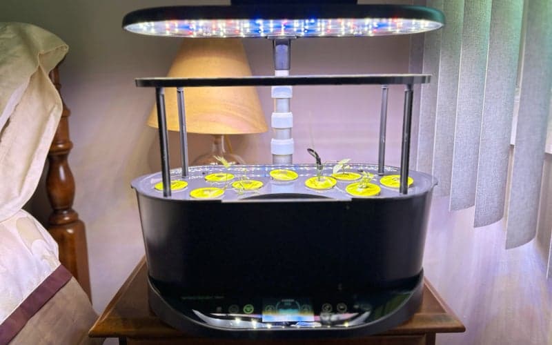 , The best indoor herb gardens of 2023, TechWar.gr