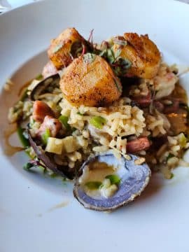 , I Wanted to Like the Big Cover Screen, TechWar.gr