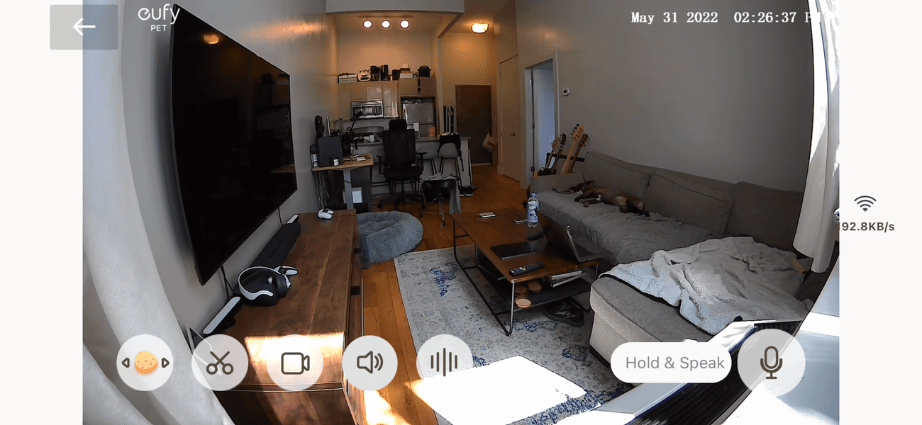 Wanda as seen from the eufy dog treat cam