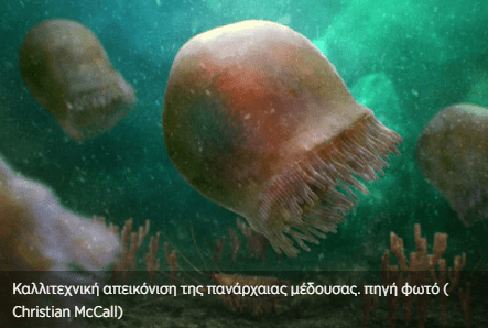 Αυτή είναι η αρχαιότερη μέδουσα της Γης με ηλικία 500 εκατ. ετών
