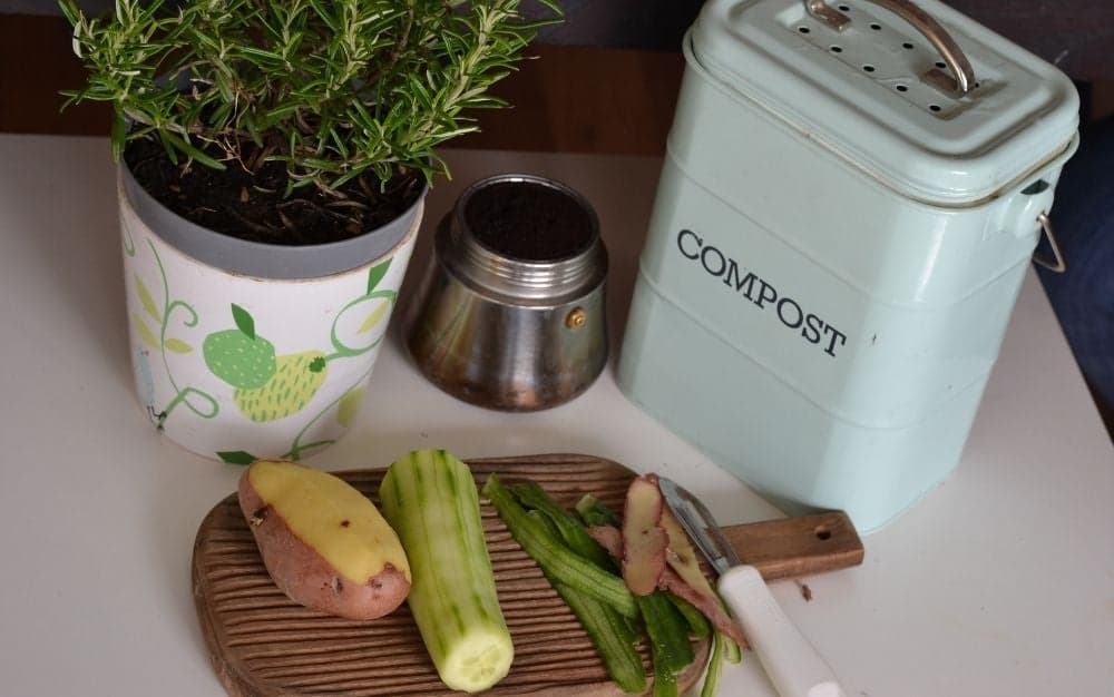 Help save the Earth with the best compost bin.