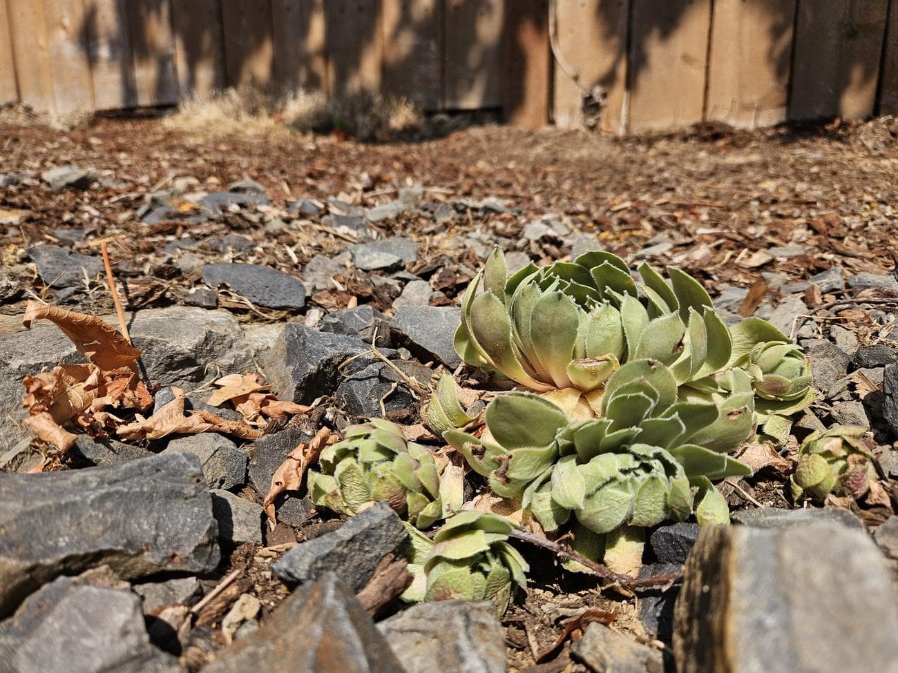 , Samsung Galaxy Z Fold 5 Review: Cool, a New Hinge, TechWar.gr