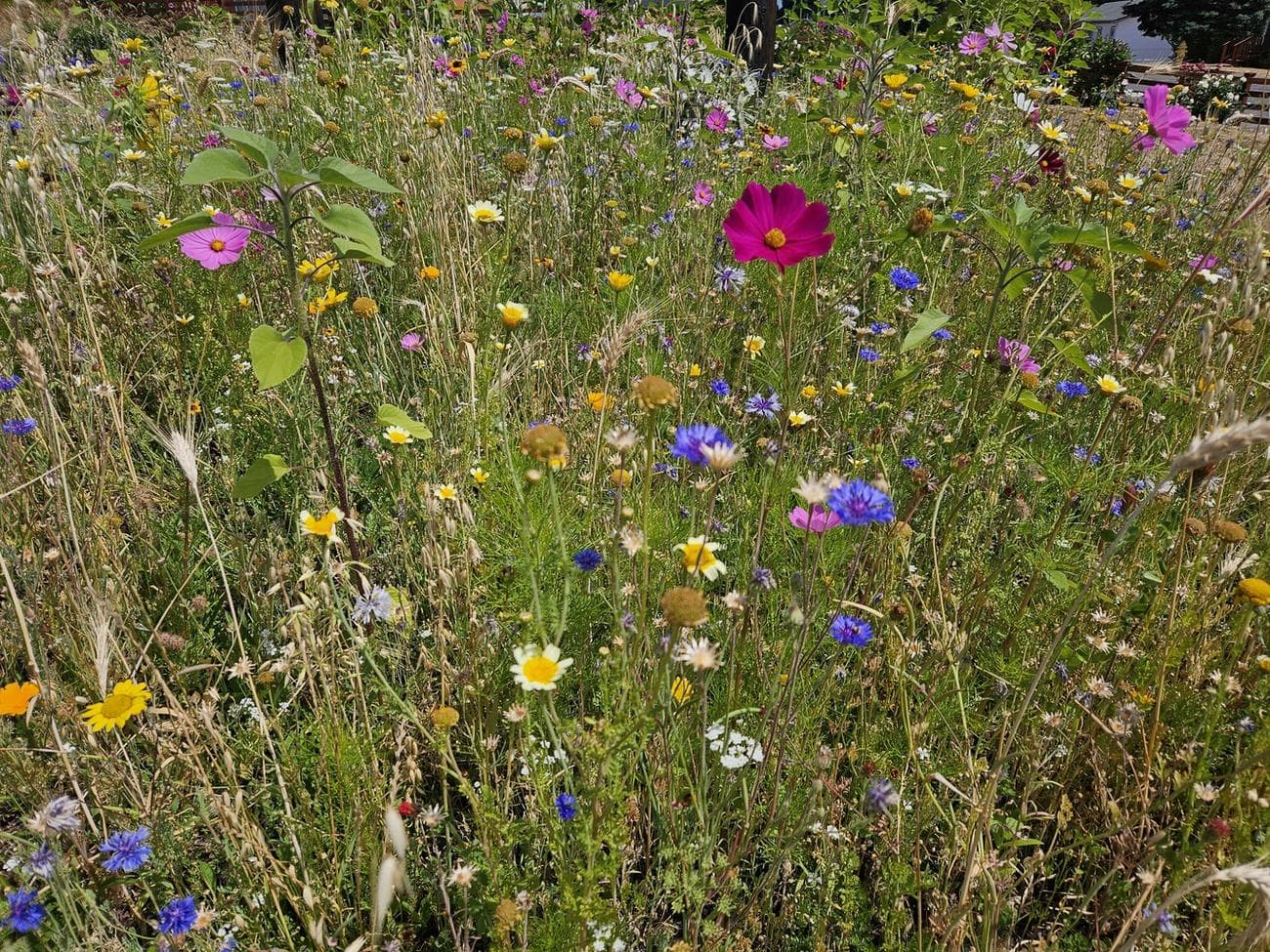 , Samsung Galaxy Z Fold 5 Review: Cool, a New Hinge, TechWar.gr