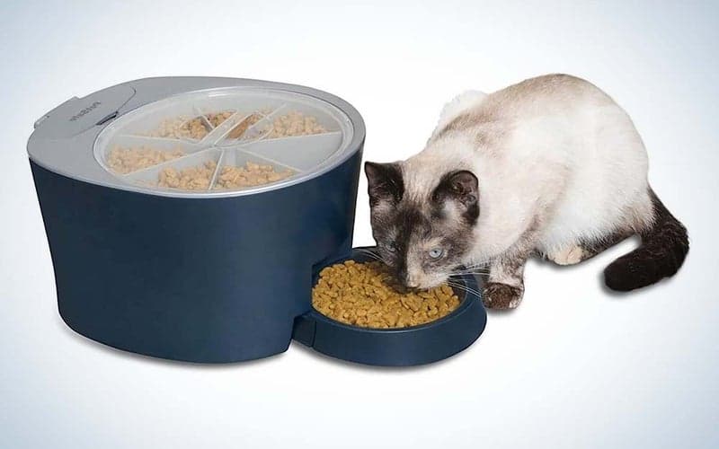 , The best automatic pet feeders in 2023, TechWar.GR