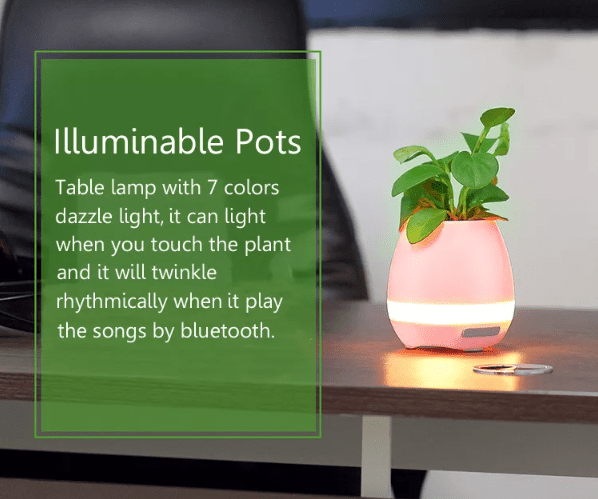 , Honana FGP1 : Κασπώ για το φυτό σας, που παίζει μουσική οταν ακουμπάτε τα φύλλα και έχει και φωτάκι νυκτός με 14.9€!, TechWar.gr