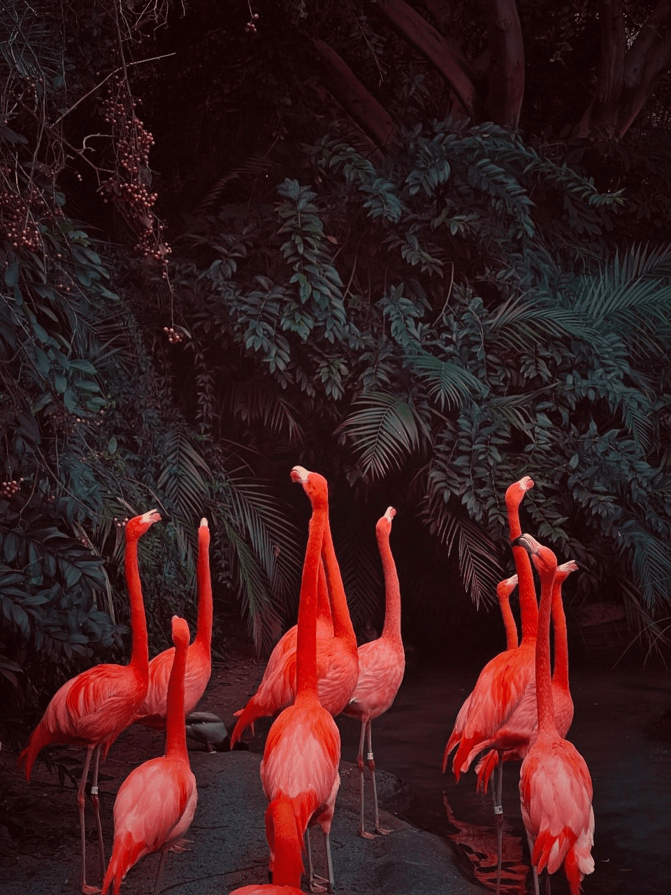 Δείτε μερικούς από τους νικητές των τελευταίων βραβείων φωτογραφίας iPhone