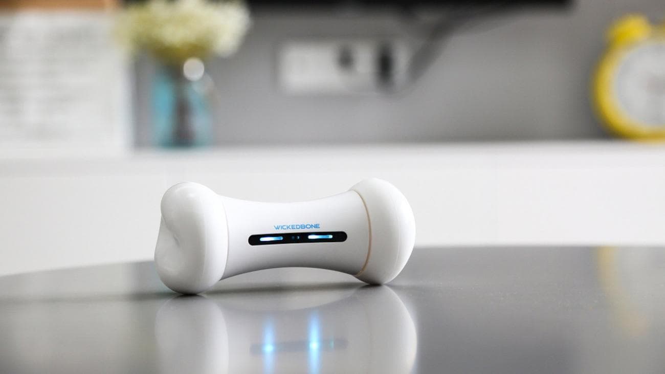 , Επιλογές για την Εθνική Ημέρα Σκύλων: 11 από τα αγαπημένα μας προϊόντα για τα πουγκάκια μας, TechWar.gr