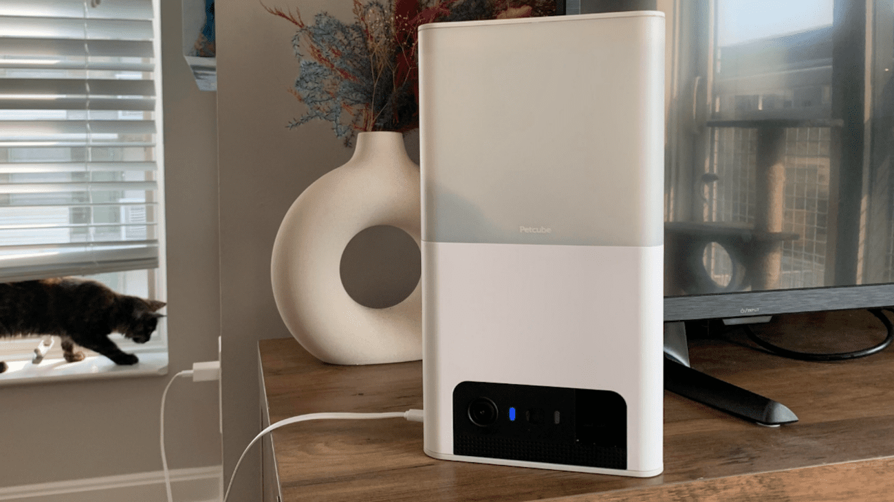 , Επιλογές για την Εθνική Ημέρα Σκύλων: 11 από τα αγαπημένα μας προϊόντα για τα πουγκάκια μας, TechWar.gr