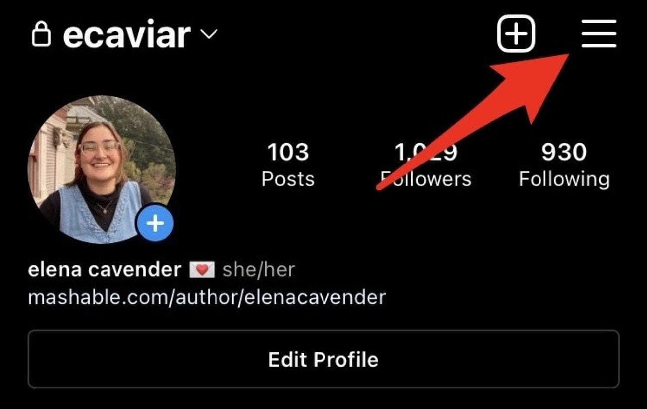 Στιγμιότυπο του προφίλ Instagram με ένα κόκκινο βέλος που δείχνει τις τρεις γραμμές στην επάνω δεξιά γωνία. 