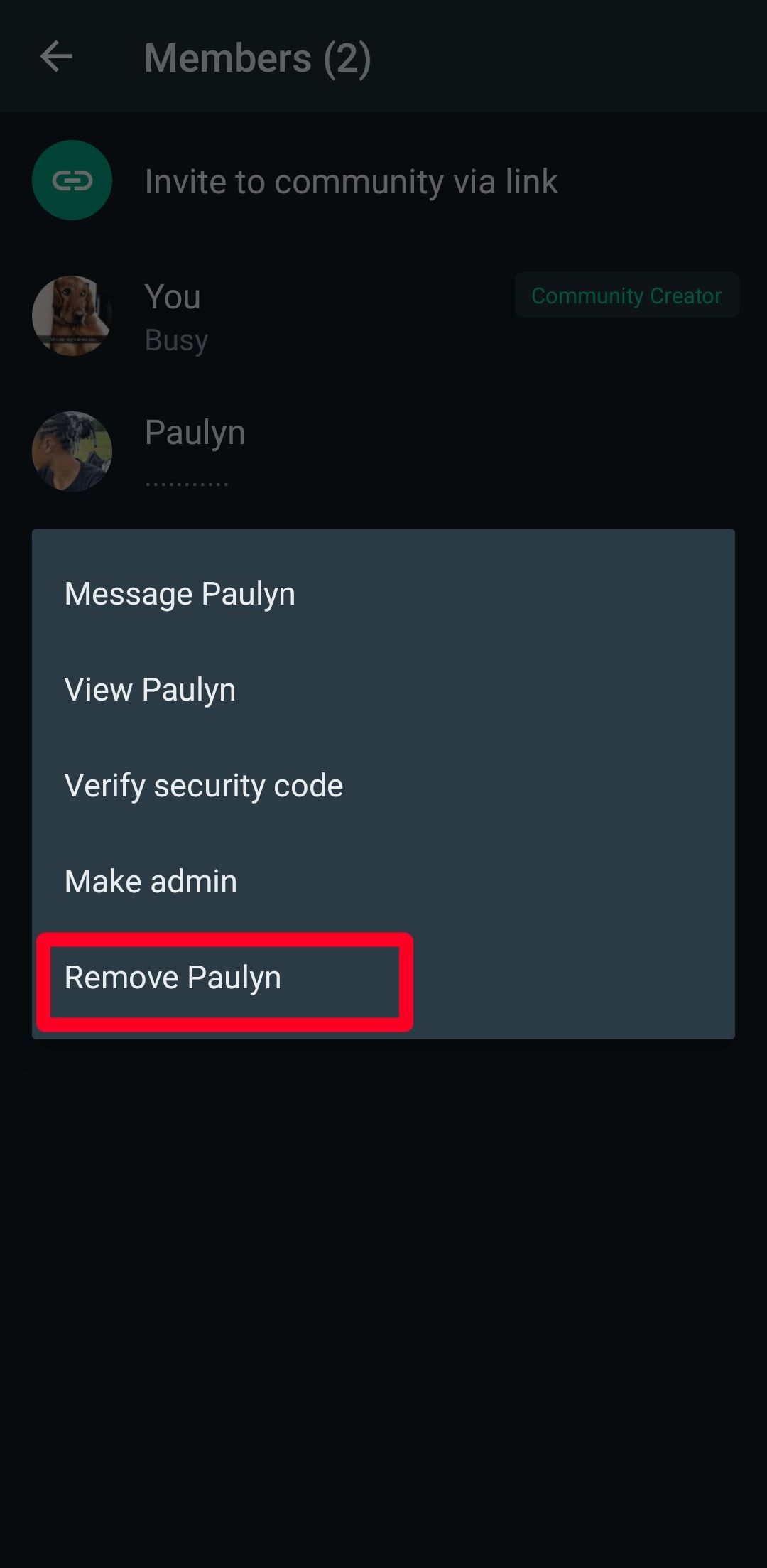remove members on WhatsApp community