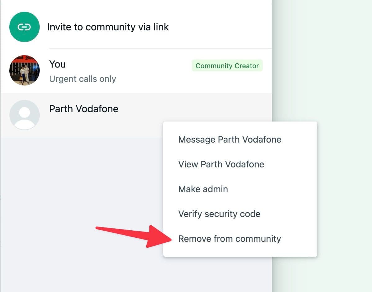 remove someone from WhatsApp community