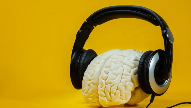 Αναπαραγωγή του «The Wall» από καταγραφές εγκεφάλου ασθενών