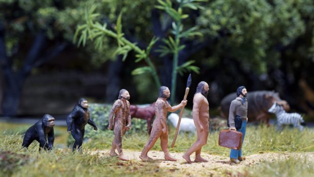 Βρέθηκε κρανίο από άγνωστο ανθρώπινο είδος