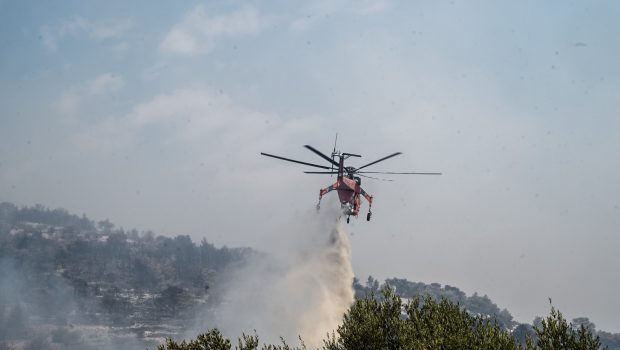 Η εικόνα της καταστροφής στην Πάρνηθα - Τι δείχνει χάρτης της WWF