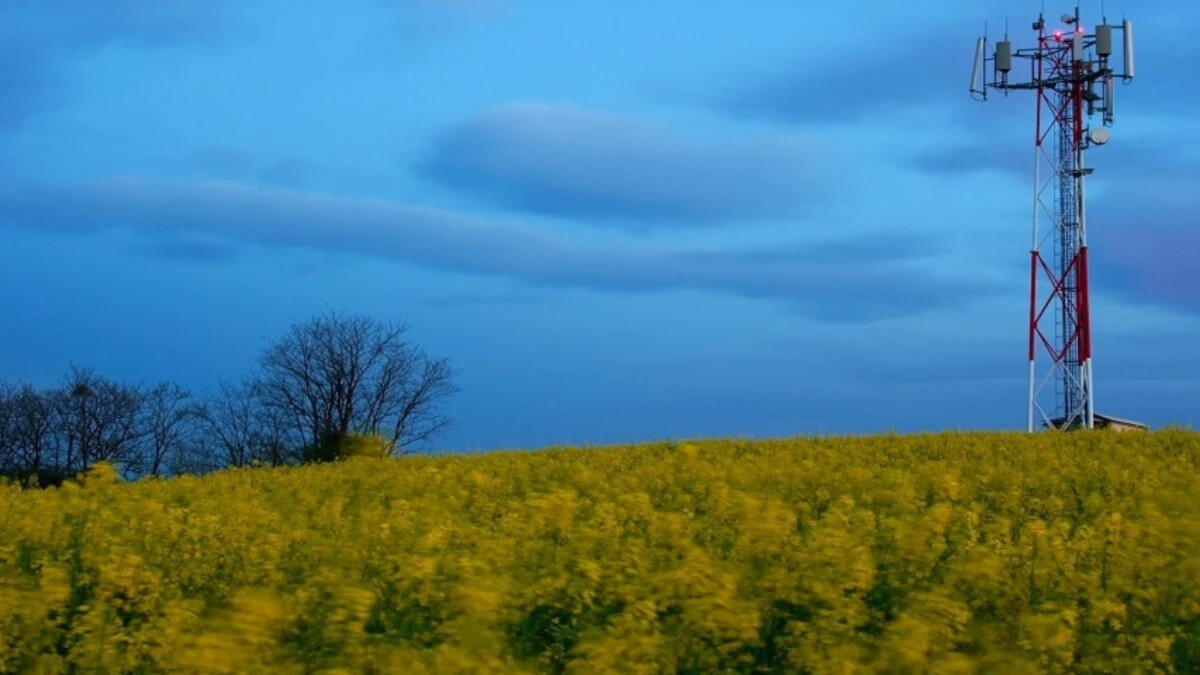 Study reveals that these two U.S. carriers are favored by scammers for their mobile scams