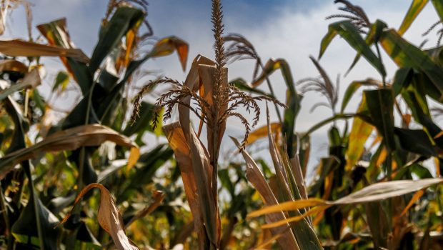Κλιματική αλλαγή: Ανεβάζει το κόστος δανεισμού και υποβαθμίζει τις οικονομίες [έρευνα]
