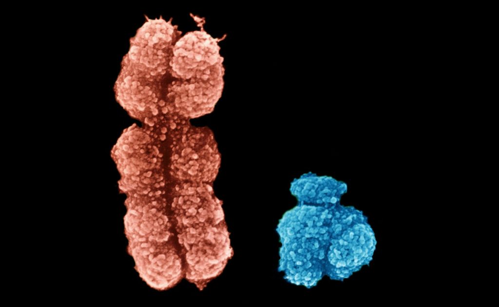 Πρώτη πλήρης αλληλουχία έπειτα από 20 χρόνια προσπαθειών