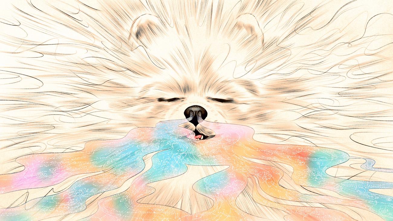 White dog inhaling colorful waves that represent smells. Illustrated.