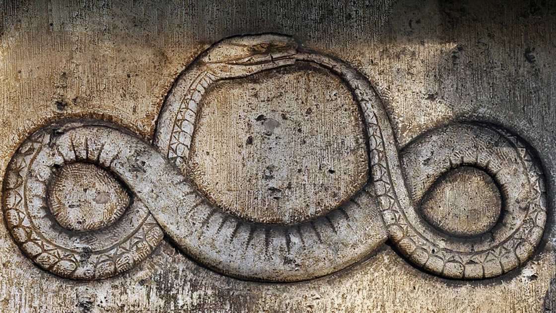 Τα φίδια όντως τρώνε την ουρά τους (ΒΙΝΤΕΟ)