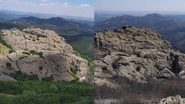 Φωτιά στον Έβρο: Καμένη γη παντού – Το δάσος της Δαδιάς πριν και μετά