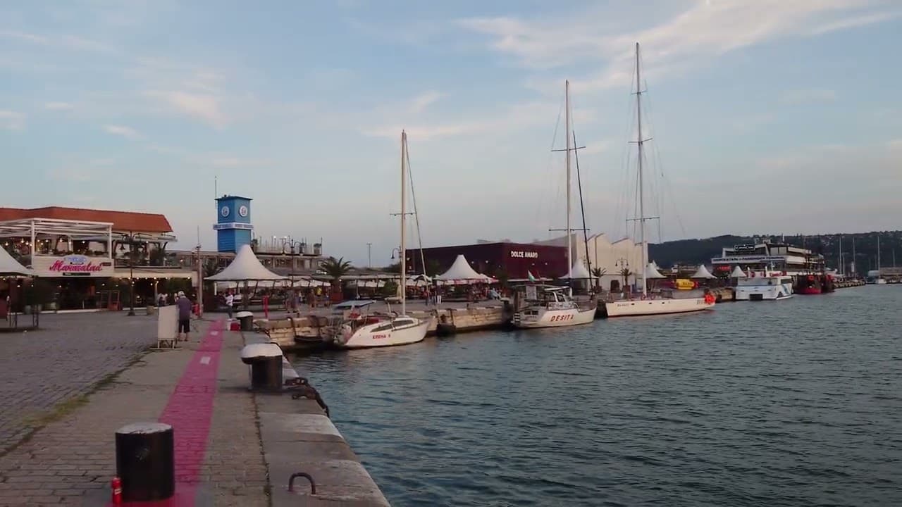 Μικρογραφία βίντεο