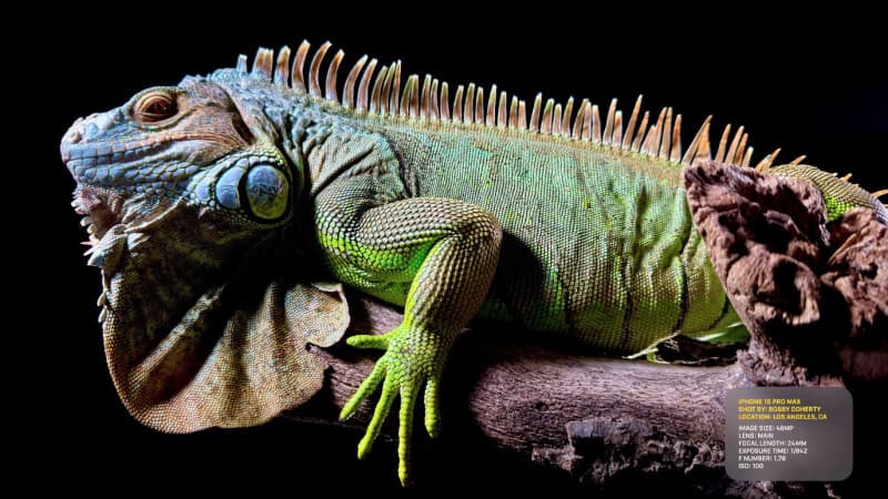 , Apple iPhone 15 release date, price, and features, TechWar.gr