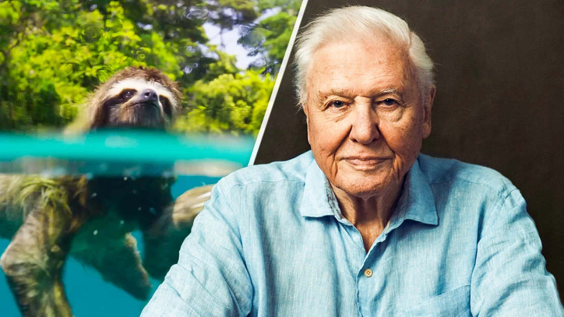 Planet Earth 3: Ο David Attenborough στα 97 του θα παρουσιάσει ξανά το απόλυτο ντοκιμαντέρ