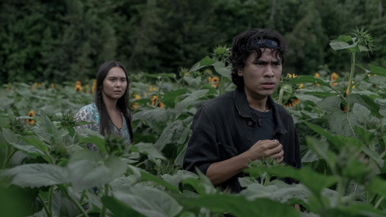 Ένας νεαρός άνδρας και μια γυναίκα περπατούν μέσα από ένα χωράφι με ηλίανθο.