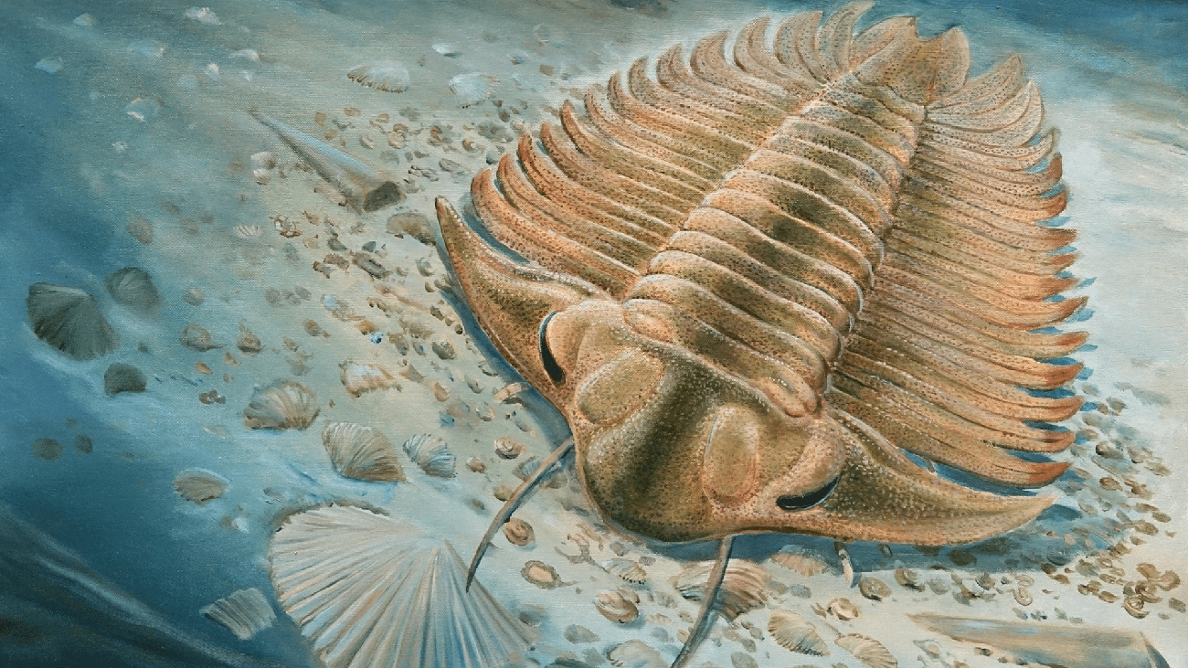 An illustration of Bohemolichas feeding on the seafloor, moments before it is engulfed, buried, and preserved by an underwater mud flow.