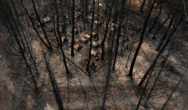 Δάσος Δαδιάς: SOS για τη χλωρίδα και τα προστατευόμενα είδη – Θα αναγεννηθεί;