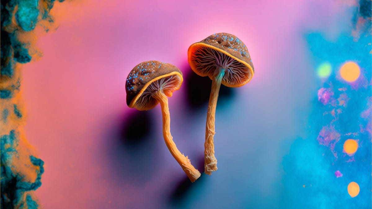 Η θεραπεία με Psilocybin Plus μπορεί να βοηθήσει στη θεραπεία των συμπτωμάτων της κατάθλιψης, ευρήματα μελέτης
