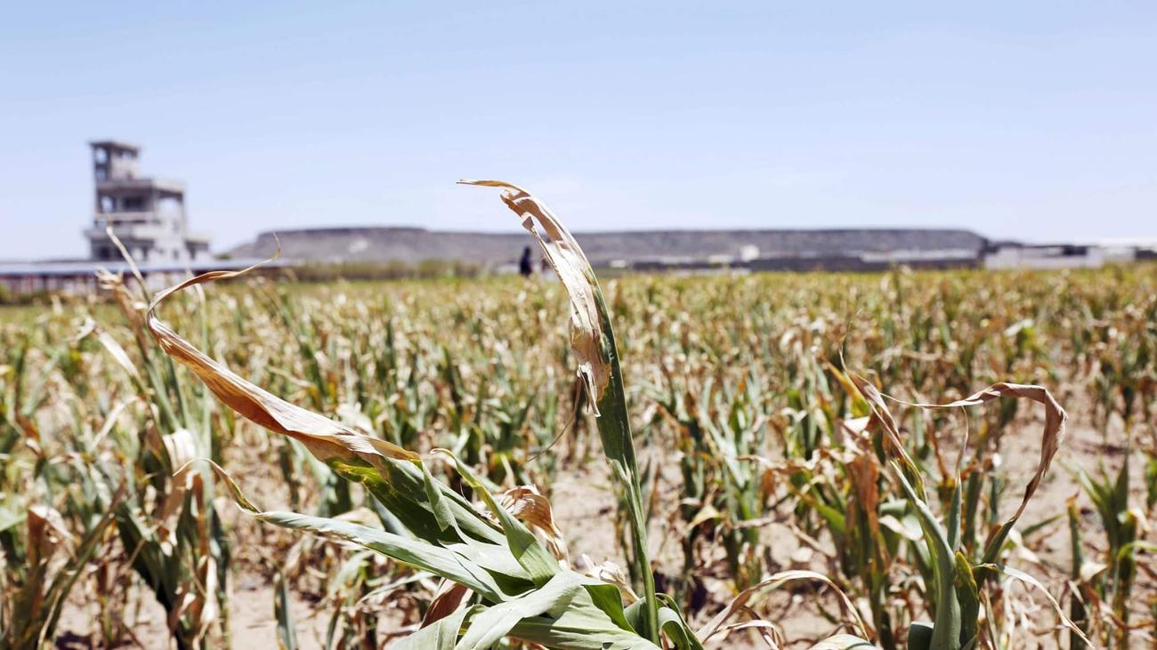 drought in Yemen, august 2023
