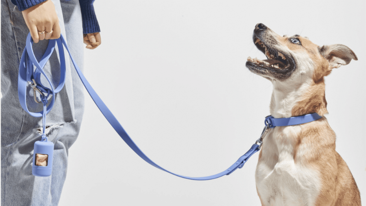 Καλύτερες προσφορές για κατοικίδια: λουριά σκύλου Wild One, λουριά, περιλαίμια, μεταφορείς και άλλα με έκπτωση έως και 35%
