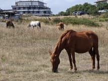 , Κριτική για το Xiaomi 13 Ultra Photography Kit, TechWar.gr