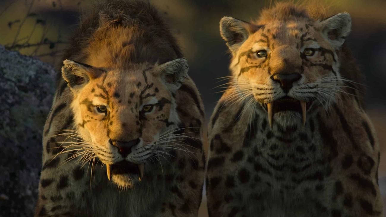 3 νέα ντοκιμαντέρ του Netflix για να παρακολουθήσετε αυτόν τον μήνα
