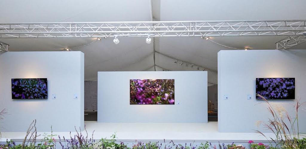 H LG OLED αποτελεί έμπνευση για την ψηφιακή τέχνη στη Frieze του Λονδίνου