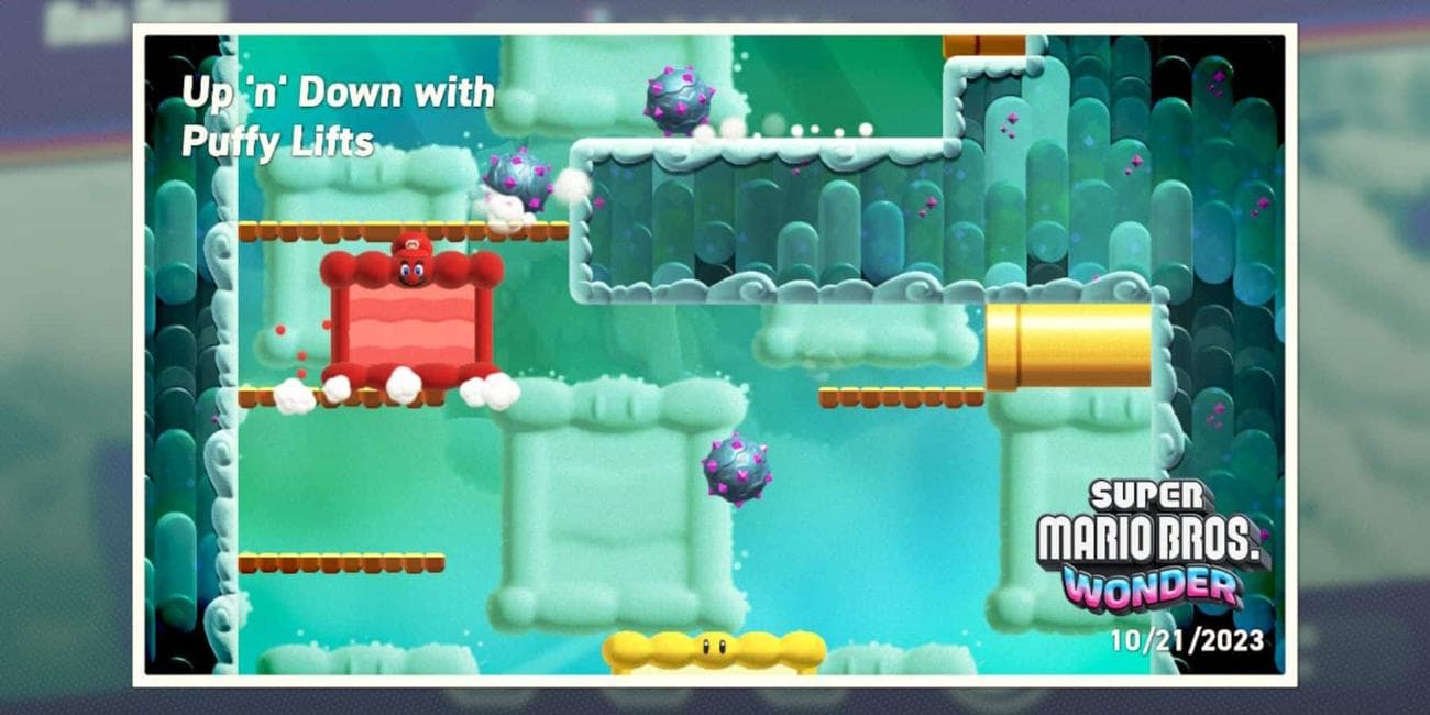 Up n Down with Puffy Lifts 100% Course Guide (All Wonder Seeds & Flower Coins)
