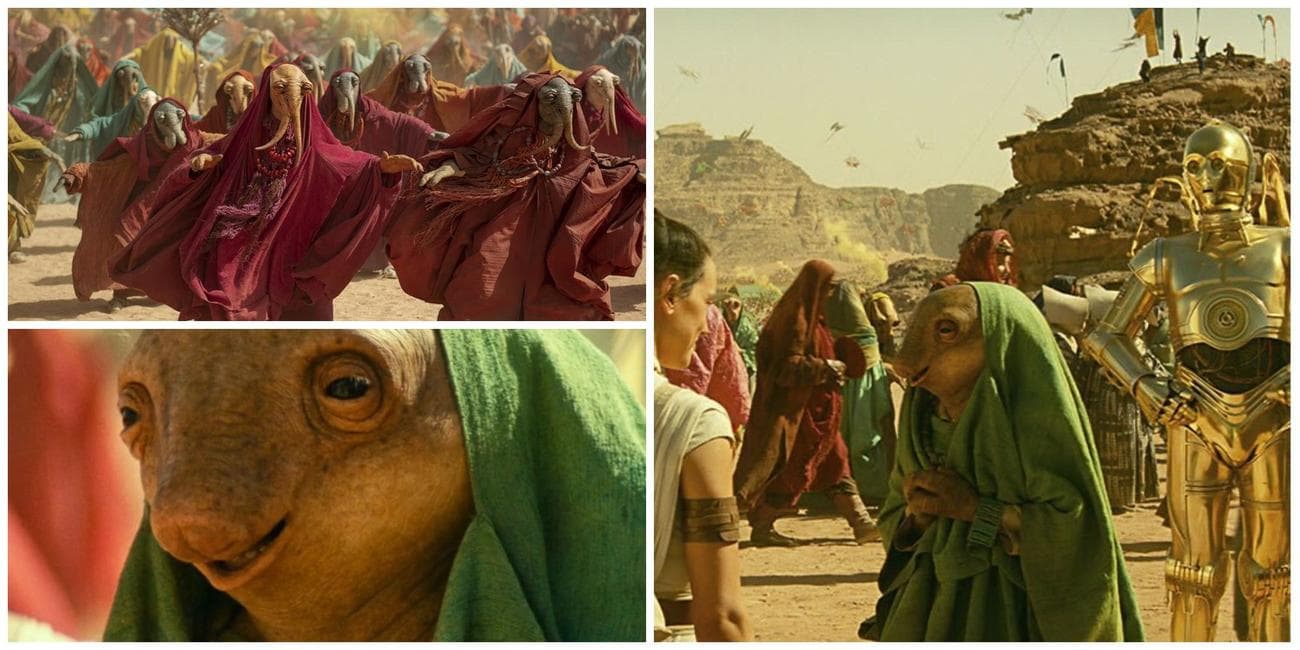 Φωτογραφίες διάφορων Aki Aki συμπεριλαμβανομένου του Nambi Ghima